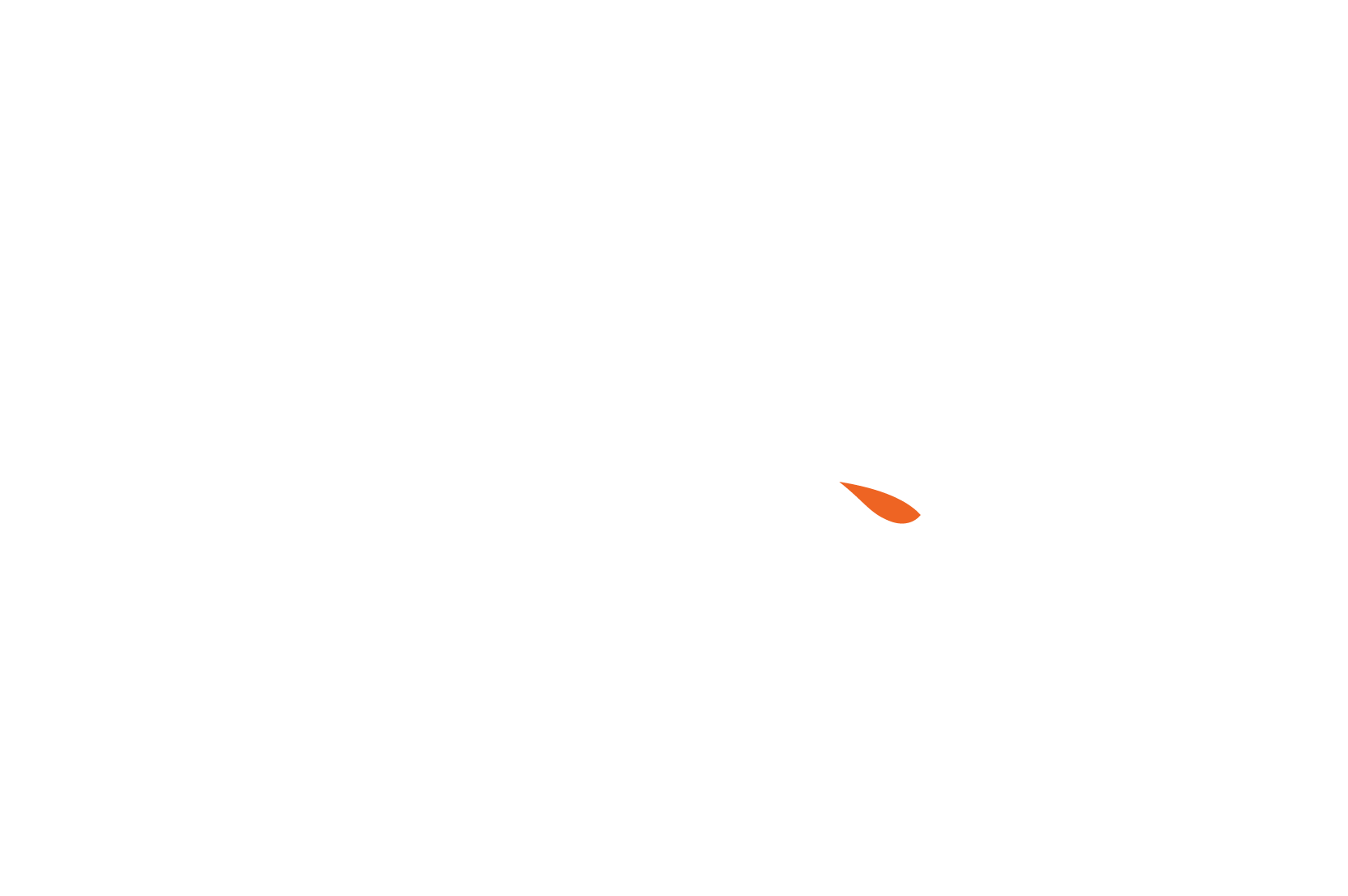 TFS